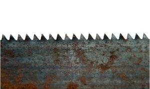 Short Lifespan Issue